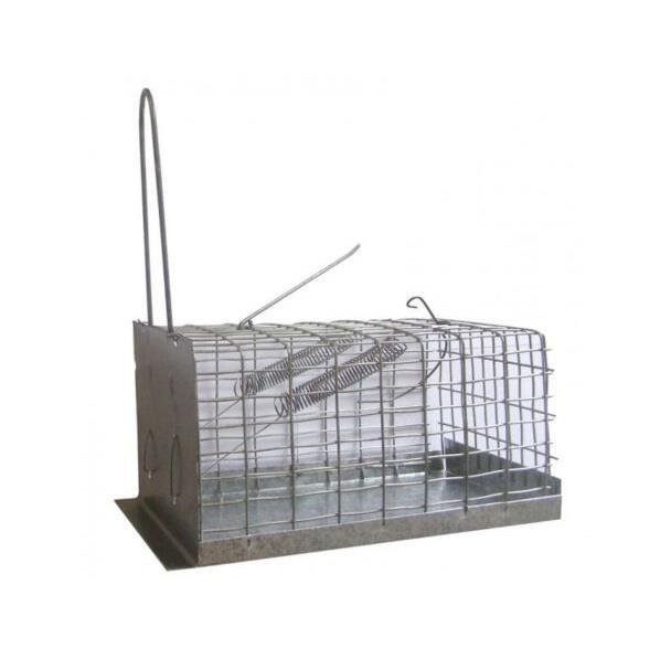 ΠONTIKOΠAΓIΔA KΛOYBI MEΣAIA