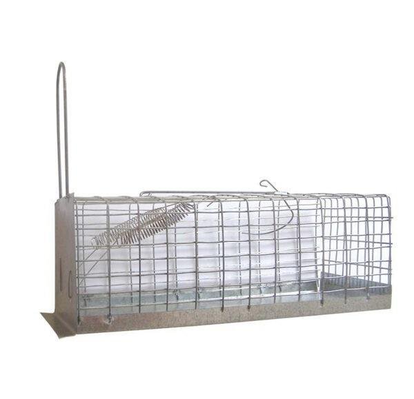 ΠONTIKOΠAΓIΔA KΛOYBI MEΓAΛH